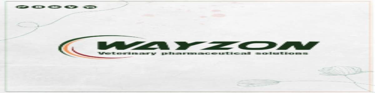 Employment Opportunities Accountant for Wayzon pharma